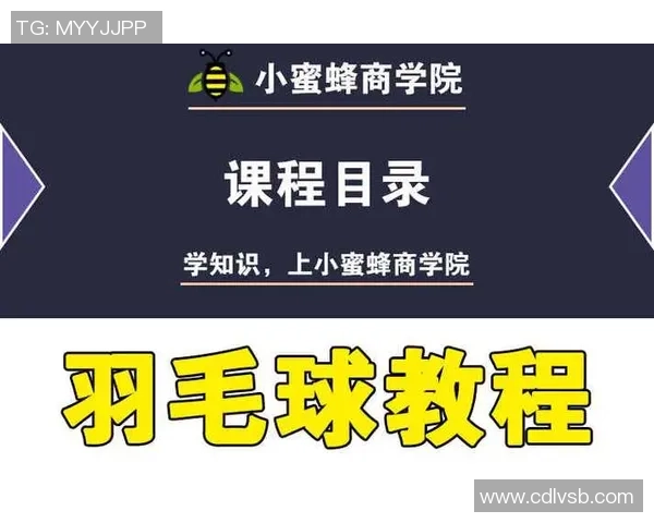 从零基础到羽毛球高手的全面提升指南与实用技巧分享