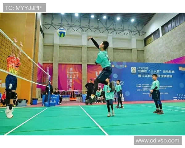 成都排球队在全国排球节奏排行榜中荣获第五名的辉煌成就