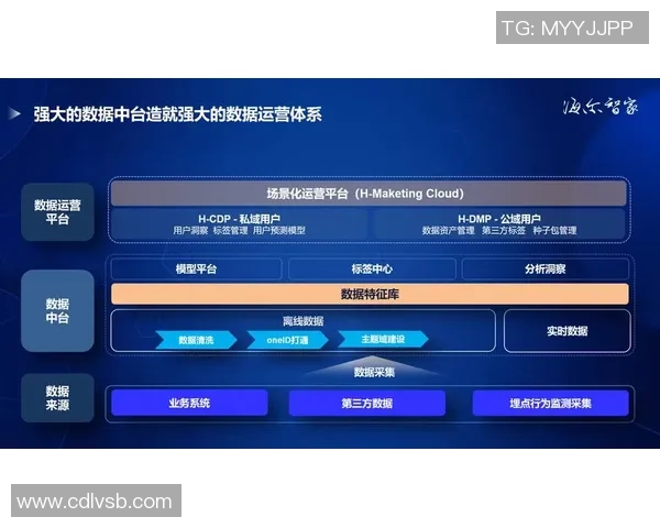 杭州排球队的转型之路：从传统强队到现代化竞技新标杆的探索与实践