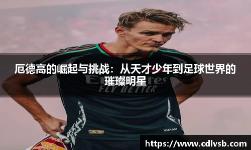 B体育bsports