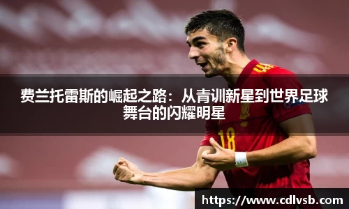 bsports官网入口