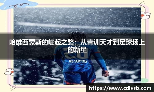 bsports官网