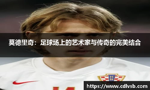 B体育bsports