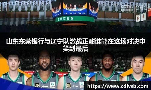 bsports官网入口