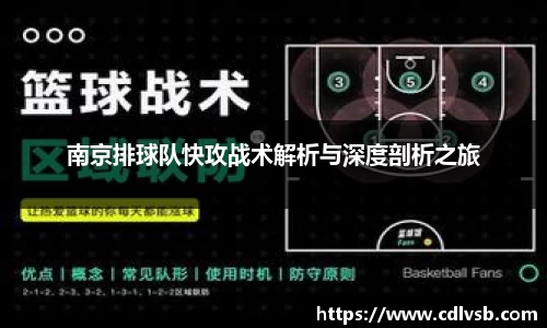 南京排球队快攻战术解析与深度剖析之旅
